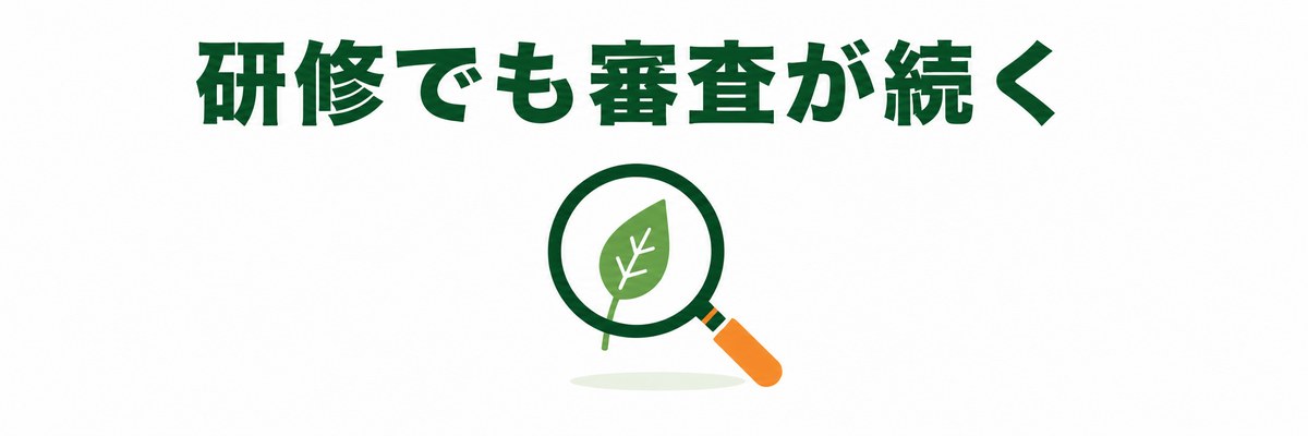 研修中の審査