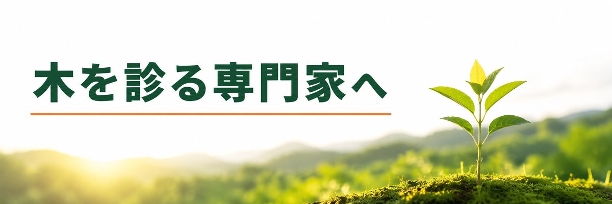まとめ｜木を診る専門家へ